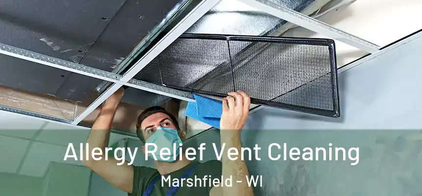 Allergy Relief Vent Cleaning Marshfield - WI