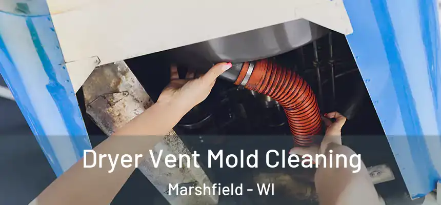  Dryer Vent Mold Cleaning Marshfield - WI