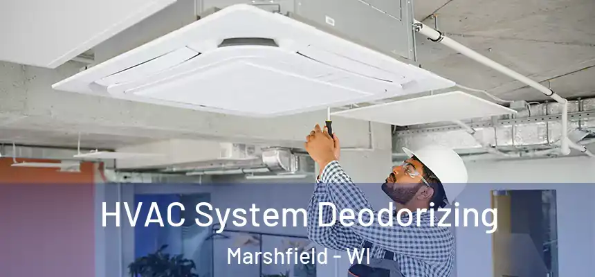  HVAC System Deodorizing Marshfield - WI
