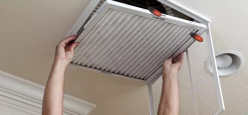 Our Insect Removal from Air Ducts Services in Marshfield, WI