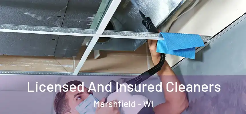 Licensed And Insured Cleaners Marshfield - WI