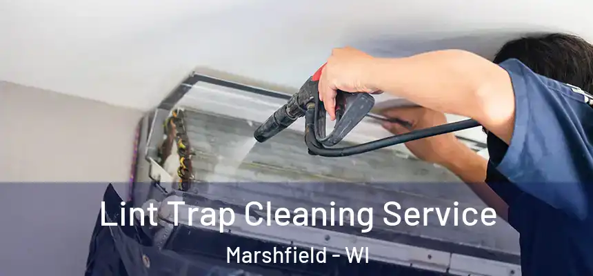  Lint Trap Cleaning Service Marshfield - WI