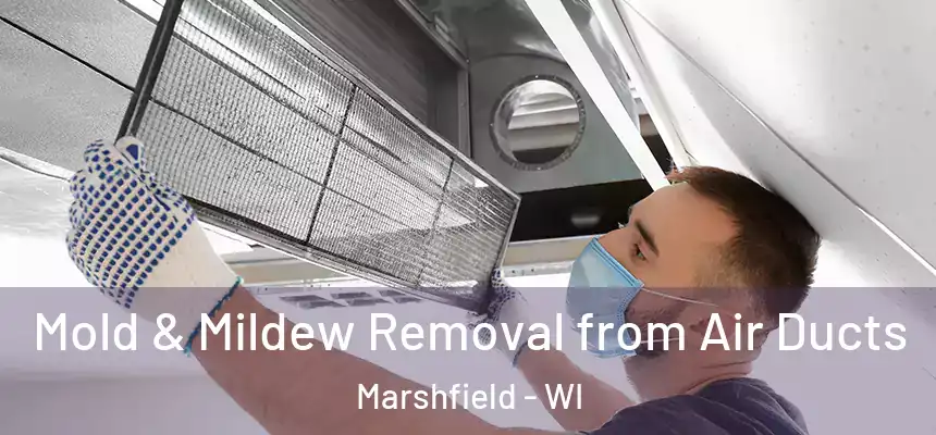  Mold & Mildew Removal from Air Ducts Marshfield - WI