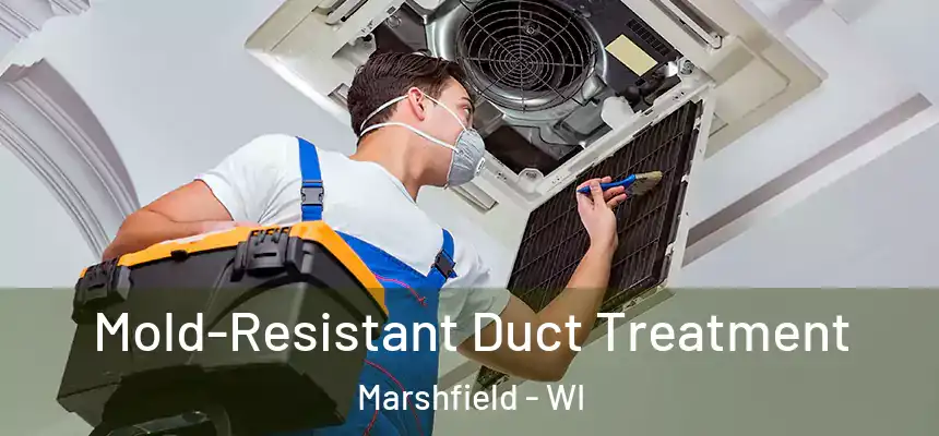  Mold-Resistant Duct Treatment Marshfield - WI