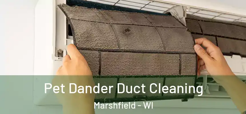  Pet Dander Duct Cleaning Marshfield - WI