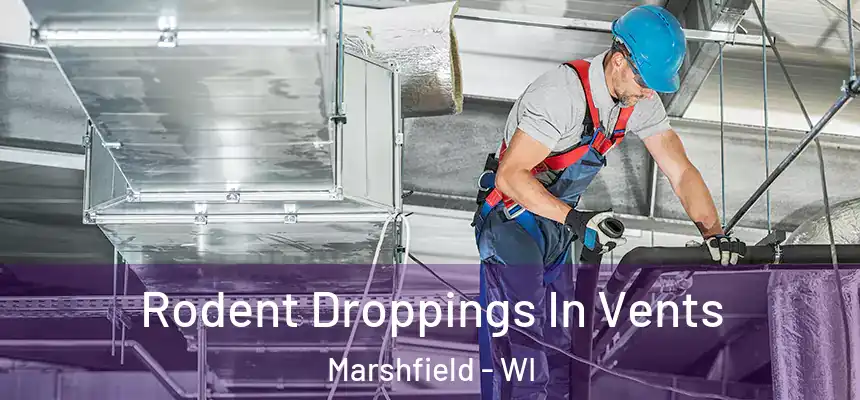  Rodent Droppings In Vents Marshfield - WI