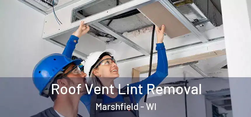  Roof Vent Lint Removal Marshfield - WI