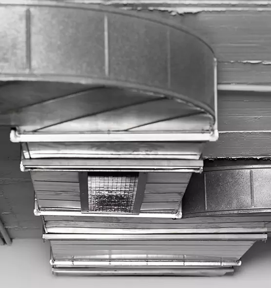 Professional Air Duct Pet Hair Removal in Marshfield, WI