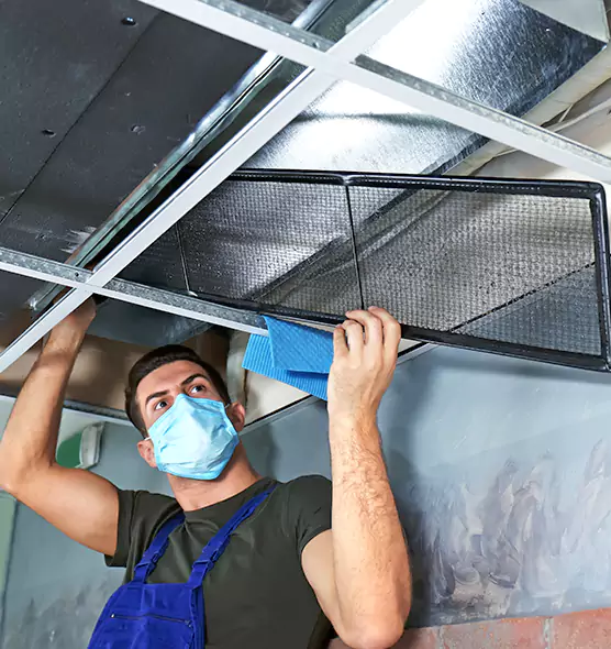Professional Air Duct Pollen Cleaning in Marshfield, WI