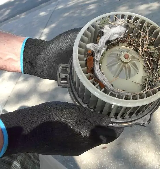 About Air Duct Rat Removal in Marshfield, WI