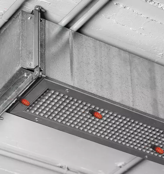 Affordable Insect Removal from Air Ducts in Marshfield, WI