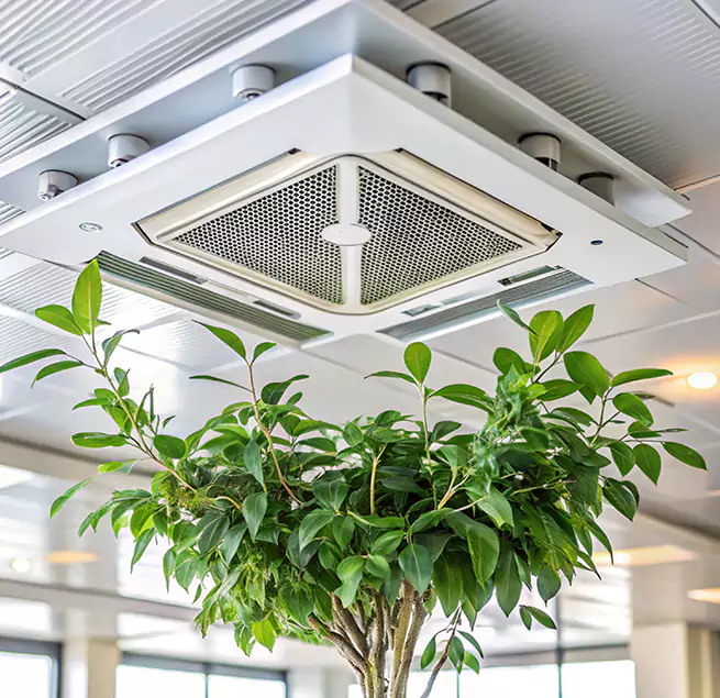 Why Homeowners & Businesses Trust Us in Marshfield, WI